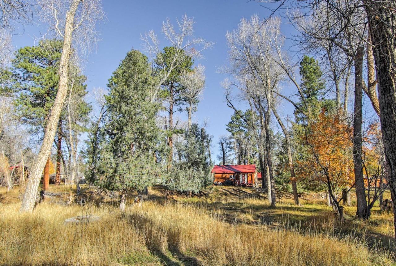 Cozy Colorado Cabin With Deck, Grill And River Access! Buena Vista Exterior foto
